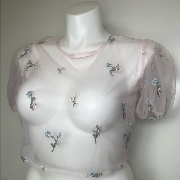 Forever 21 ShirtTops Large LightPink Embroidery Floral Sheer Croptop Puff Sleeve - Picture 3 of 12